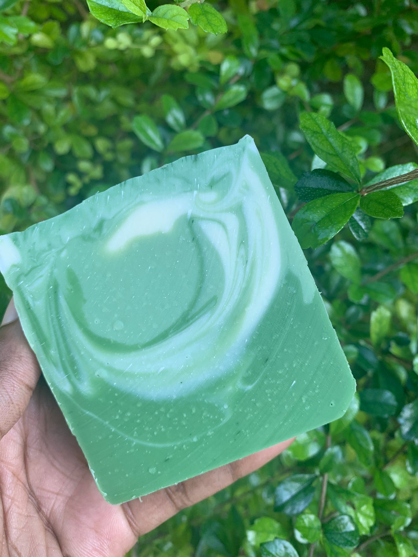 [PREORDER] Lemongrass + Aloe Natural Bar Soap (Ships Nov 26)