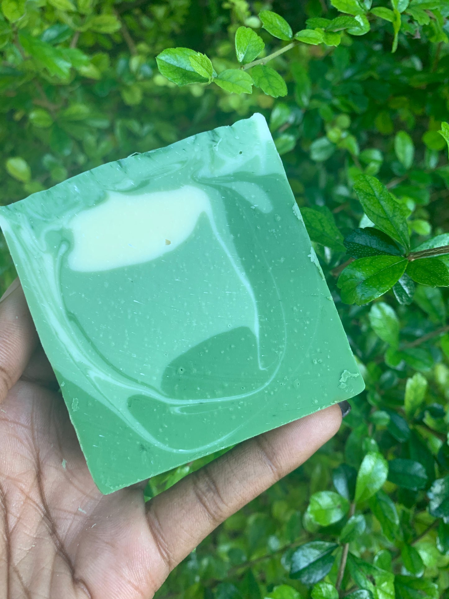 [PREORDER] Lemongrass + Aloe Natural Bar Soap (Ships Nov 26)